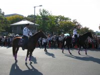 IMG_3156.JPG